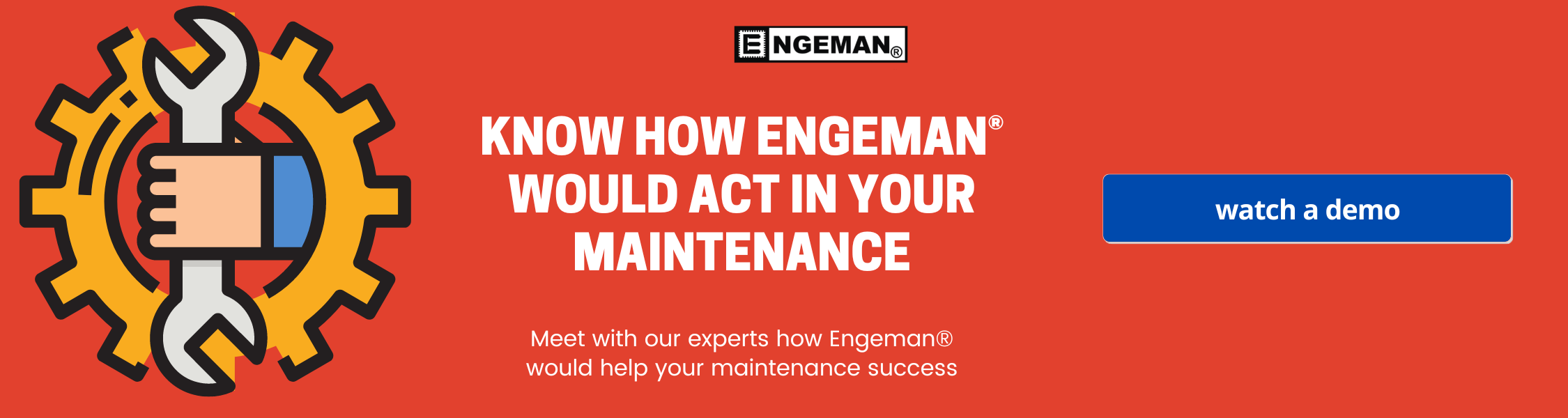 How Fraport Brasil has gained agility in managing its maintenance with  Engeman®